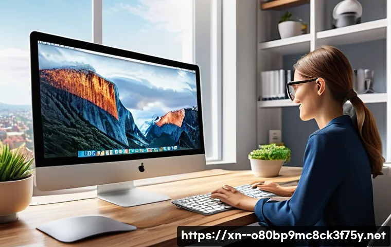 선단동 macosX재설치 포맷  초기화 관련 이미지 1