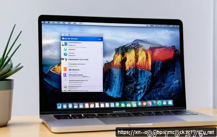 화양동 macosX재설치 포맷  초기화 관련 이미지 1