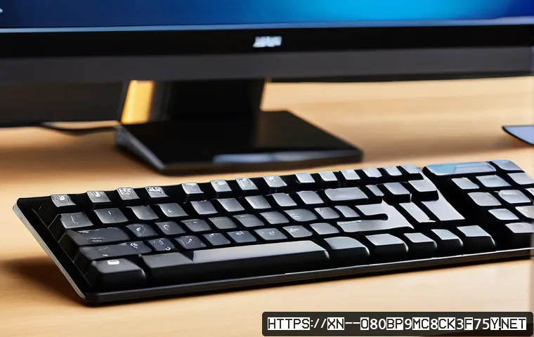 옥천면 입력신호가 없습니다 관련 이미지 1