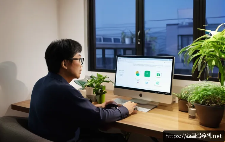 도림동 STATUS_KERNEL_EXECUTION_ERROR 관련 이미지 1