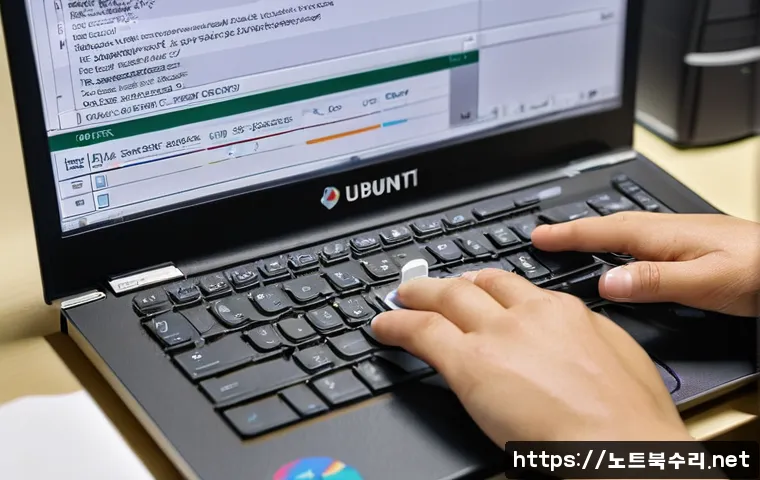 관철동 ubuntu재설치 포맷  초기화 관련 이미지 1