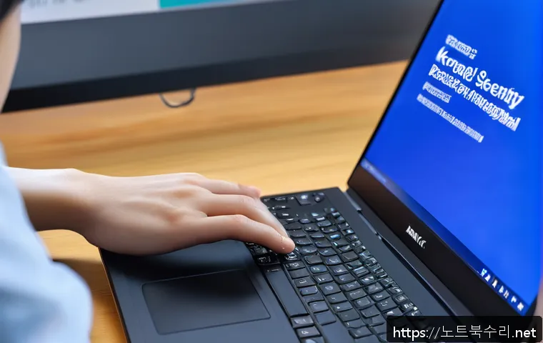 서농동 KERNEL_SECURITY_CHECK_FAILURE 관련 이미지 1