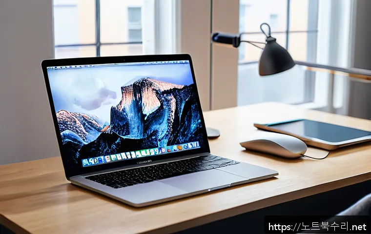 효창동 macosX재설치 포맷  초기화 관련 이미지 1