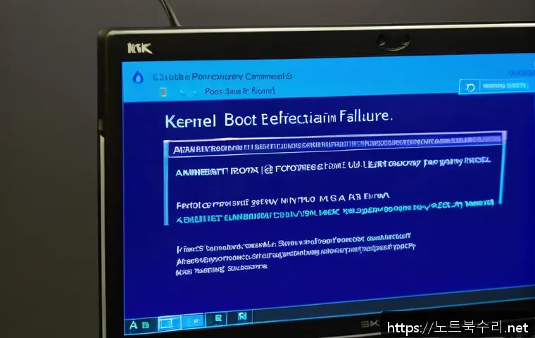 초지동 STATUS_KERNEL_BOOT_FAILURE 관련 이미지 1