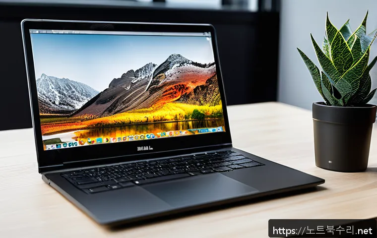 고림동 STATUS_KERNEL_INIT_FAILURE 관련 이미지 2