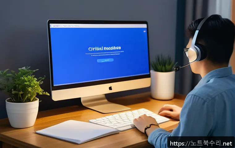 도척면 CRITICAL_PROCESS_DIED 관련 이미지 2