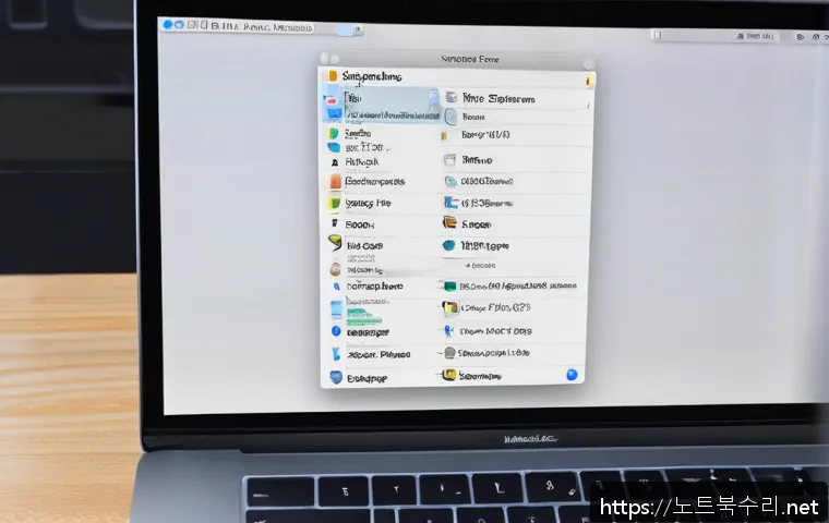 태전동 macosX재설치 포맷  초기화 관련 이미지 1