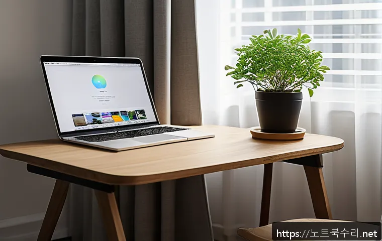 강남구 macosX재설치 포맷  초기화 관련 이미지 1