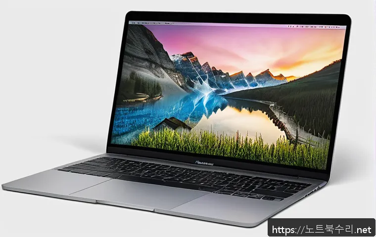 점동면 맥윈도우 부트캠프_bootcamp 재설치 포맷  초기화 관련 이미지 1