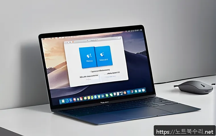 고봉동 맥윈도우 부트캠프_bootcamp 재설치 포맷  초기화 관련 이미지 1