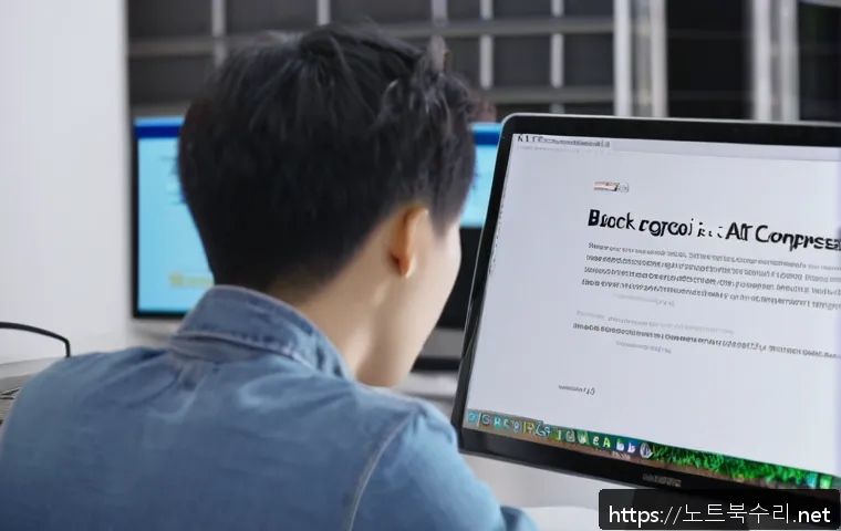 궁정동 BOOTMGR is Compressed 관련 이미지 1