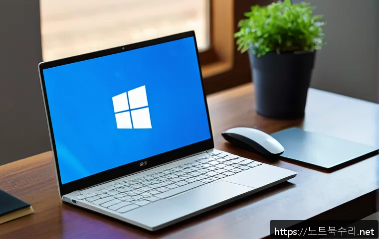 하야동 WIN32K_POWER_WATCHDOG_TIMEOUT 관련 이미지 1