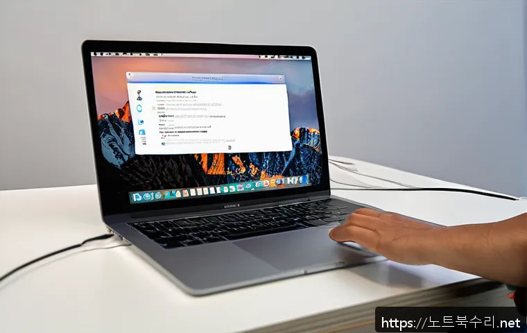 도화동 macosX재설치 포맷  초기화 관련 이미지 1
