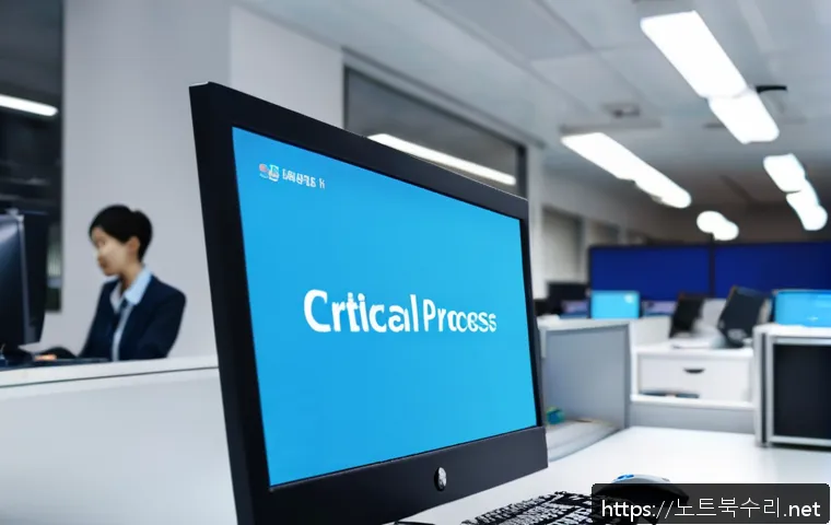 율천동 CRITICAL_PROCESS_DIED 관련 이미지 1