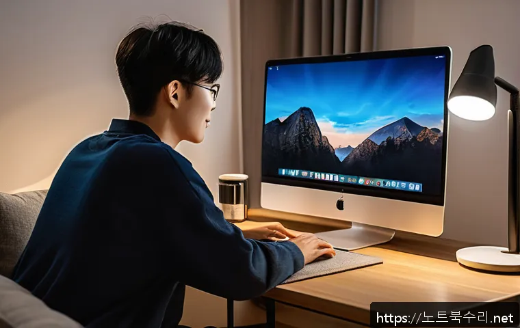 일산서구 해킨토시 재설치 포맷  초기화 관련 이미지 2