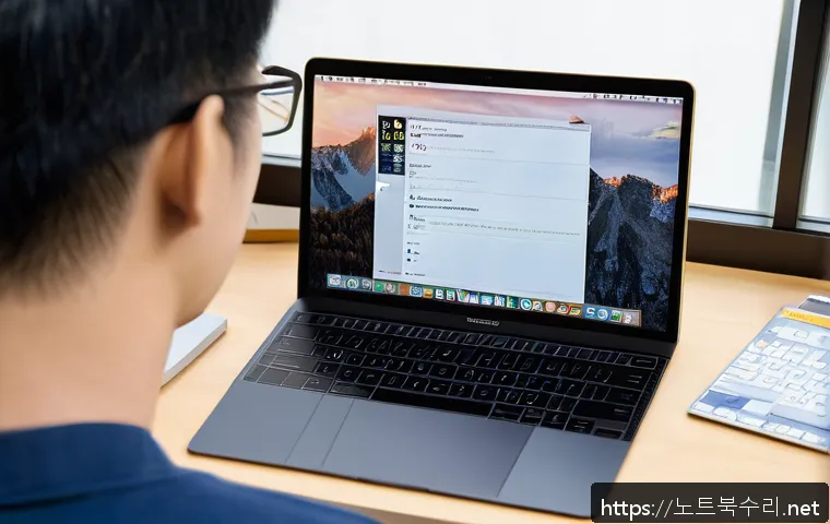 도원동 맥윈도우 부트캠프_bootcamp 재설치 포맷  초기화 관련 이미지 1