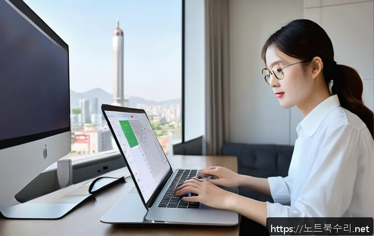 순화동 macosX재설치 포맷  초기화 관련 이미지 1