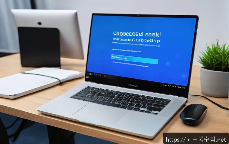 행신동 UNEXPECTED_KERNEL_MODE_TRAP 관련 이미지 1