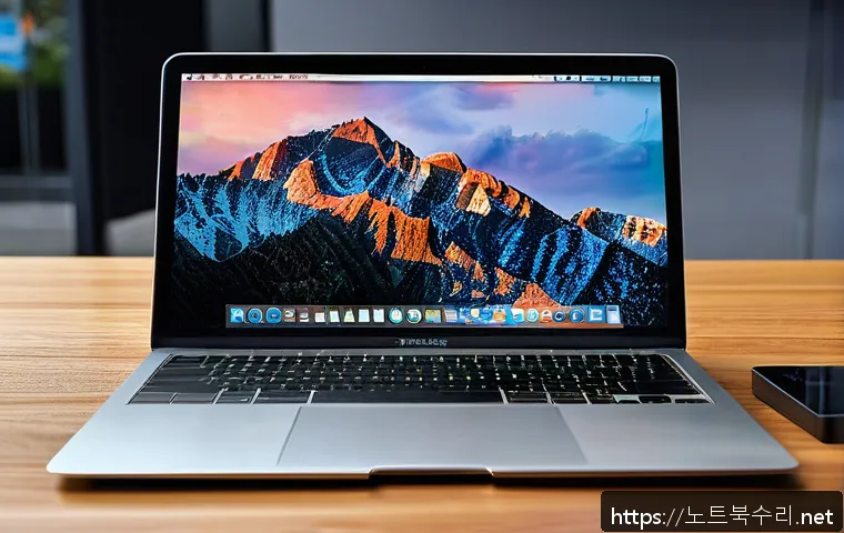 성복동 부트캠프설치 관련 이미지 1