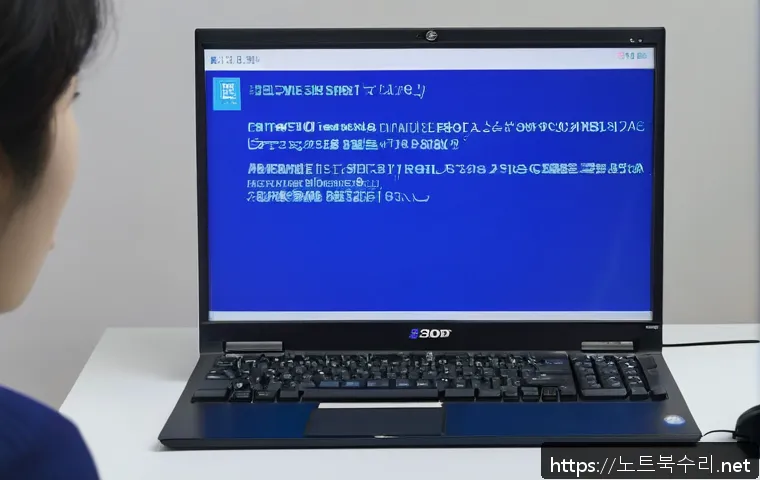 서빙고동 ATTEMPTED_EXECUTE_OF_NOEXECUTE_MEMORY 관련 이미지 1