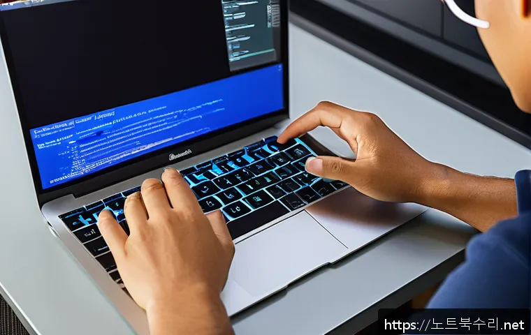 도선동 맥윈도우 부트캠프_bootcamp 재설치 포맷  초기화 관련 이미지 1