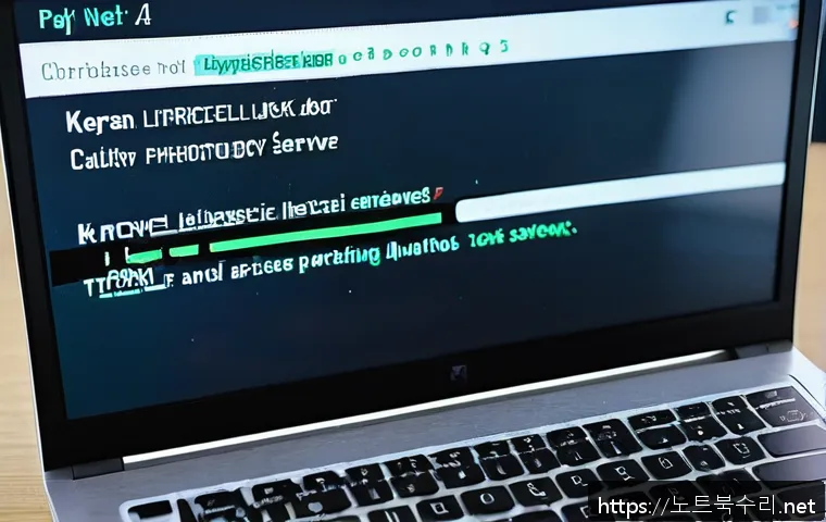 장충동 STATUS_KERNEL_DEVICE_ERROR 관련 이미지 1