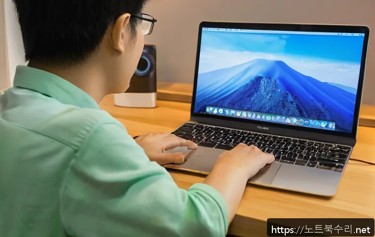 지축동 맥윈도우 부트캠프_bootcamp 재설치 포맷  초기화 관련 이미지 1