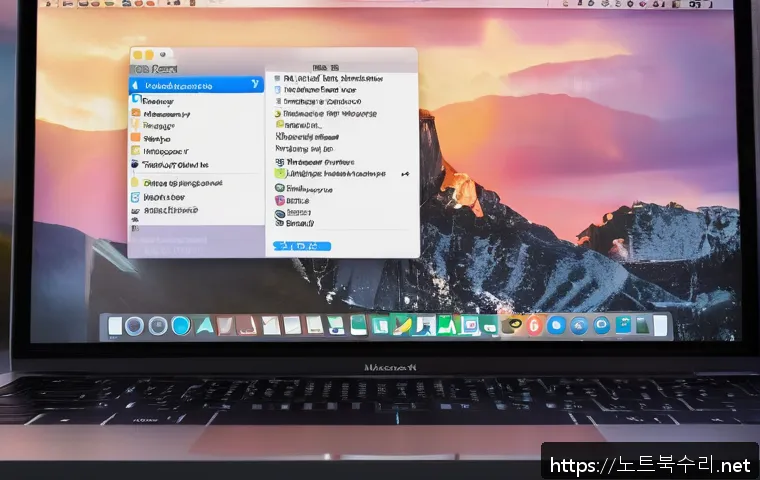 황학동 macosX재설치 포맷  초기화 관련 이미지 1