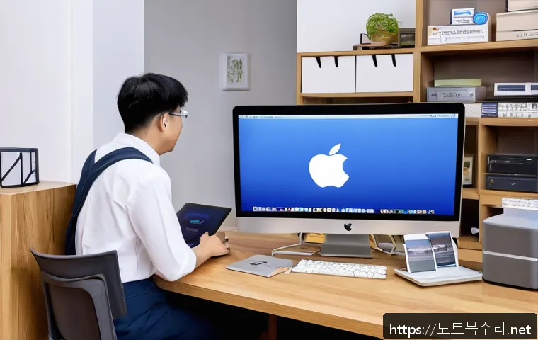 신원동 macosX재설치 포맷  초기화 관련 이미지 2