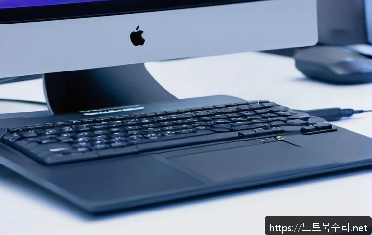 세종로 STATUS_INVALID_DEVICE_REQUEST 관련 이미지 1