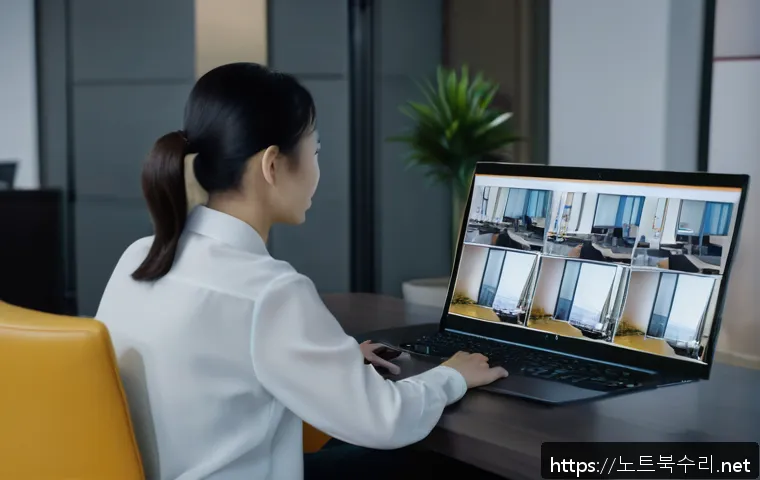 회정동 VIDEO_DRIVER_INIT_FAILURE 관련 이미지 1