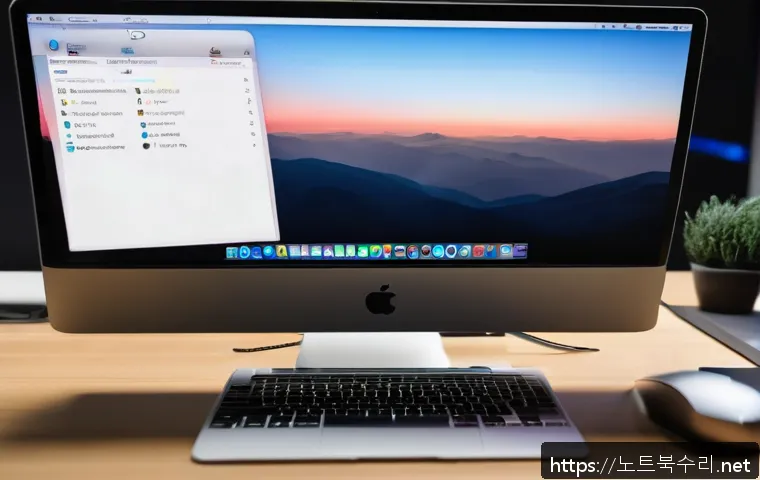 무교동 macosX재설치 포맷  초기화 관련 이미지 1