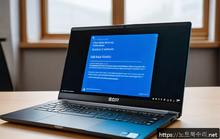 일죽면 STATUS_KERNEL_BOOT_FAILURE 관련 이미지 1
