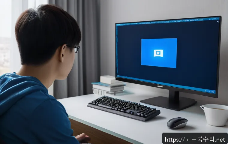 가정동 KERNEL_STACK_INPAGE_ERROR 관련 이미지 1