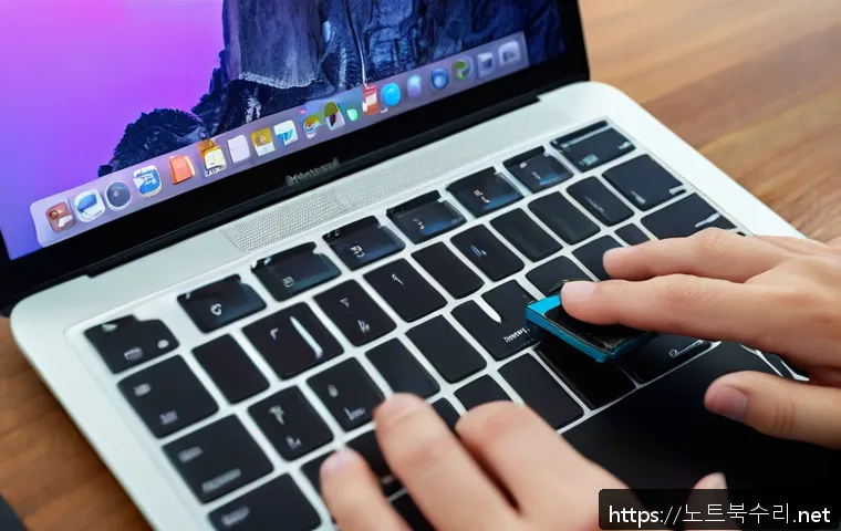 수내동 맥윈도우 부트캠프_bootcamp 재설치 포맷  초기화 관련 이미지 1