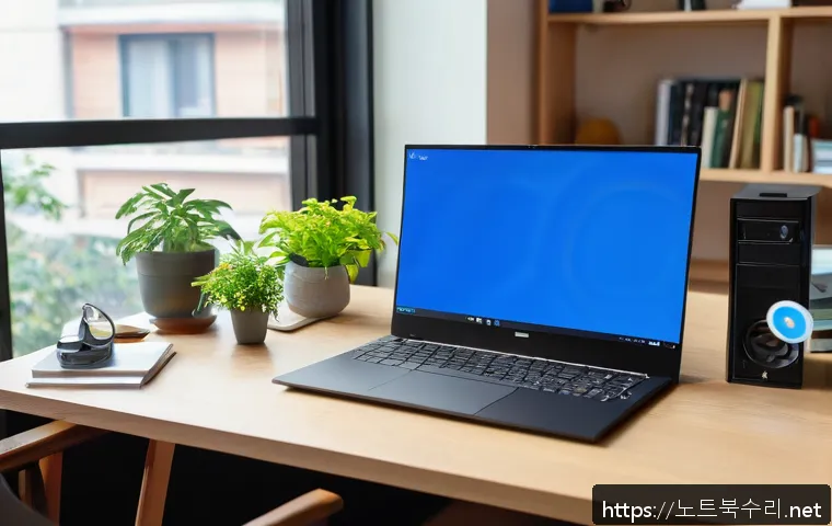 양산동 VIDEO_DRIVER_INIT_FAILURE 관련 이미지 1