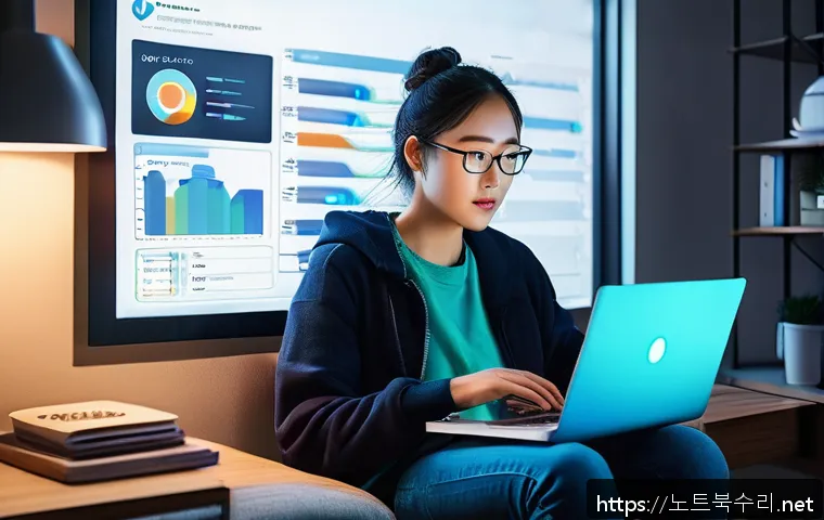 오쇠동 STATUS_FILE_INVALID 관련 이미지 2