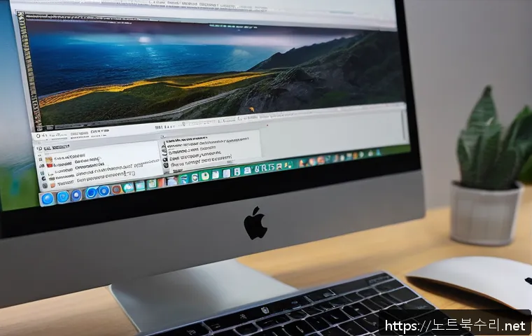 옥정동 운영체제 os 재설치 포맷  초기화 관련 이미지 1