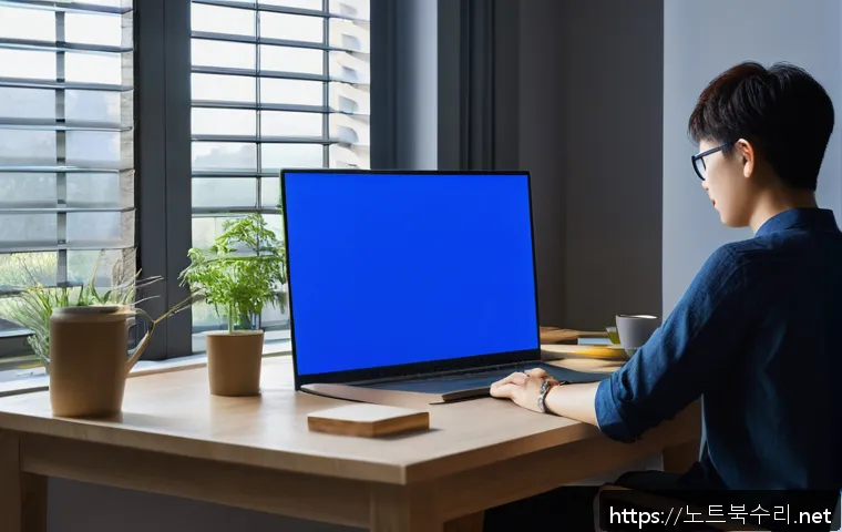 원신동 DRIVER_PORTION_MUST_BE_NONPAGED 관련 이미지 1