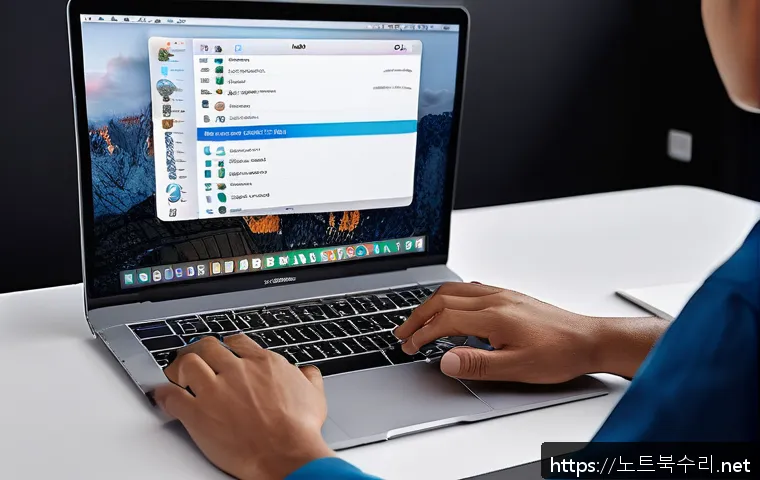 원종동 macosX재설치 포맷  초기화 관련 이미지 1