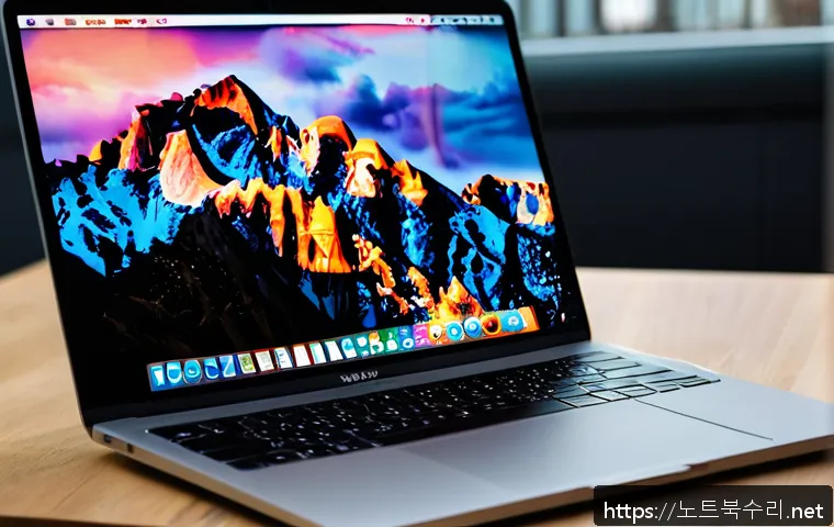 호계동 macosX재설치 포맷  초기화 관련 이미지 1