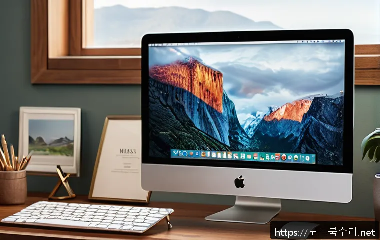 운정동 macosX재설치 포맷  초기화 관련 이미지 1