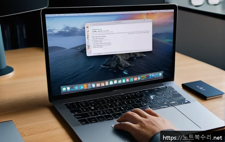 사사동 macosX재설치 포맷  초기화 관련 이미지 1
