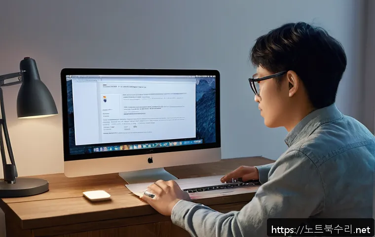 금암동 macosX재설치 포맷  초기화 관련 이미지 1