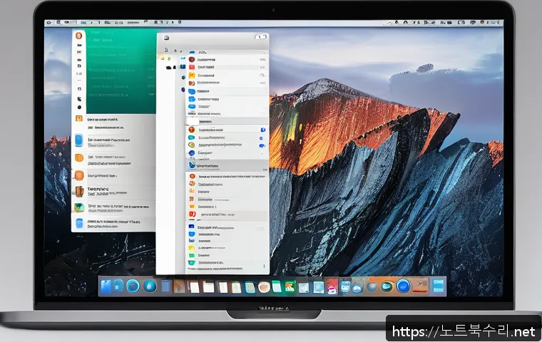 금암동 macosX재설치 포맷  초기화 관련 이미지 2