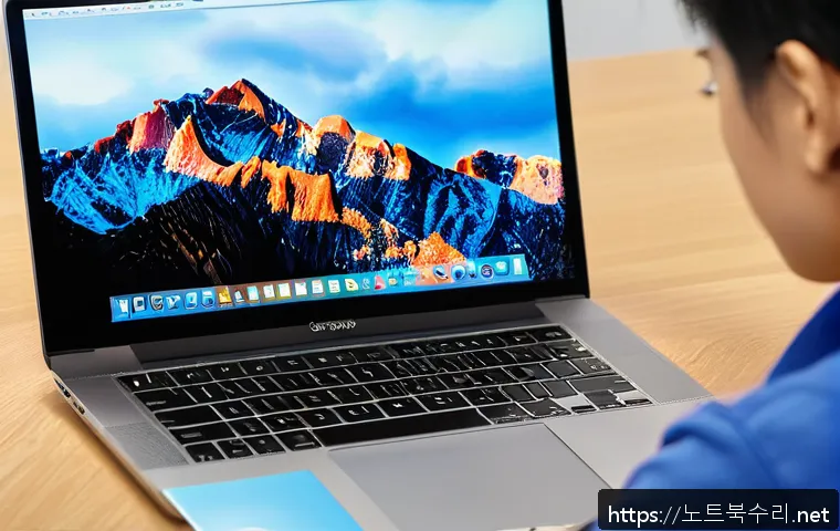 기안동 맥윈도우 부트캠프_bootcamp 재설치 포맷  초기화 관련 이미지 1