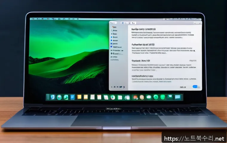풍무동 macosX재설치 포맷  초기화 관련 이미지 1