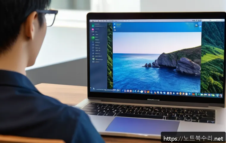 오목천동 해킨토시 재설치 포맷  초기화 관련 이미지 2