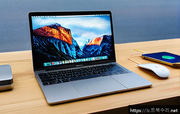 갈현동 부트캠프설치 관련 이미지 2