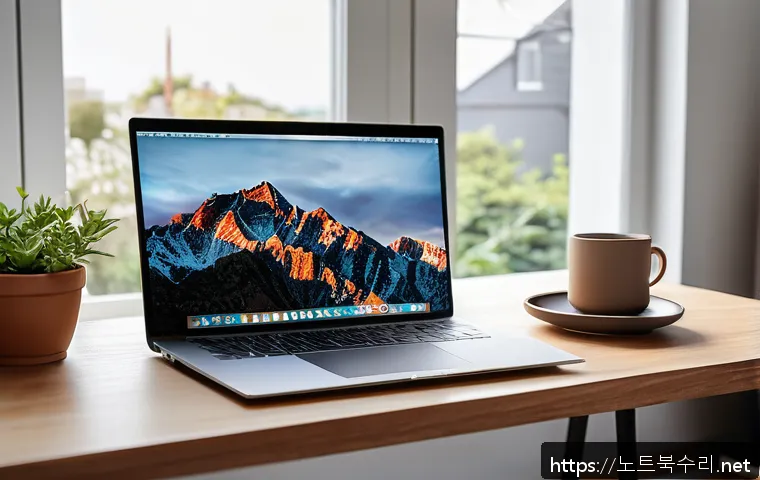 고매동 IO_DEVICE_ERROR 관련 이미지 1